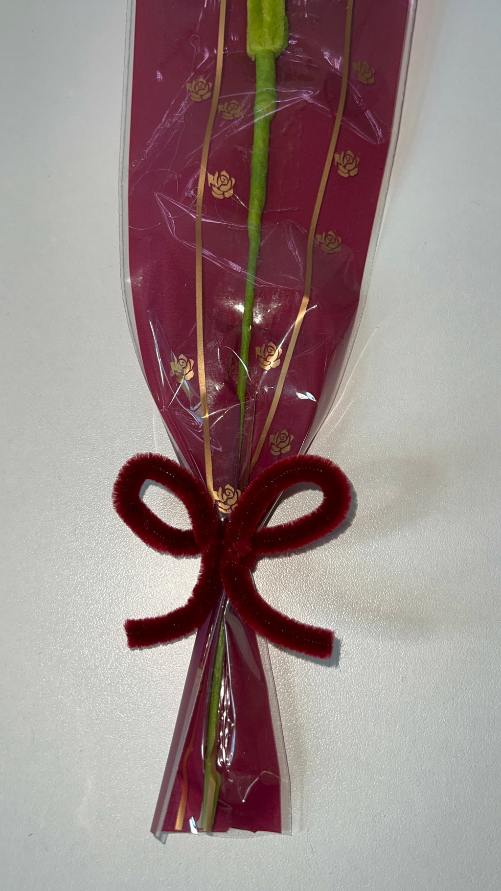 Tulipe bordeaux