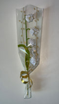 Muguet