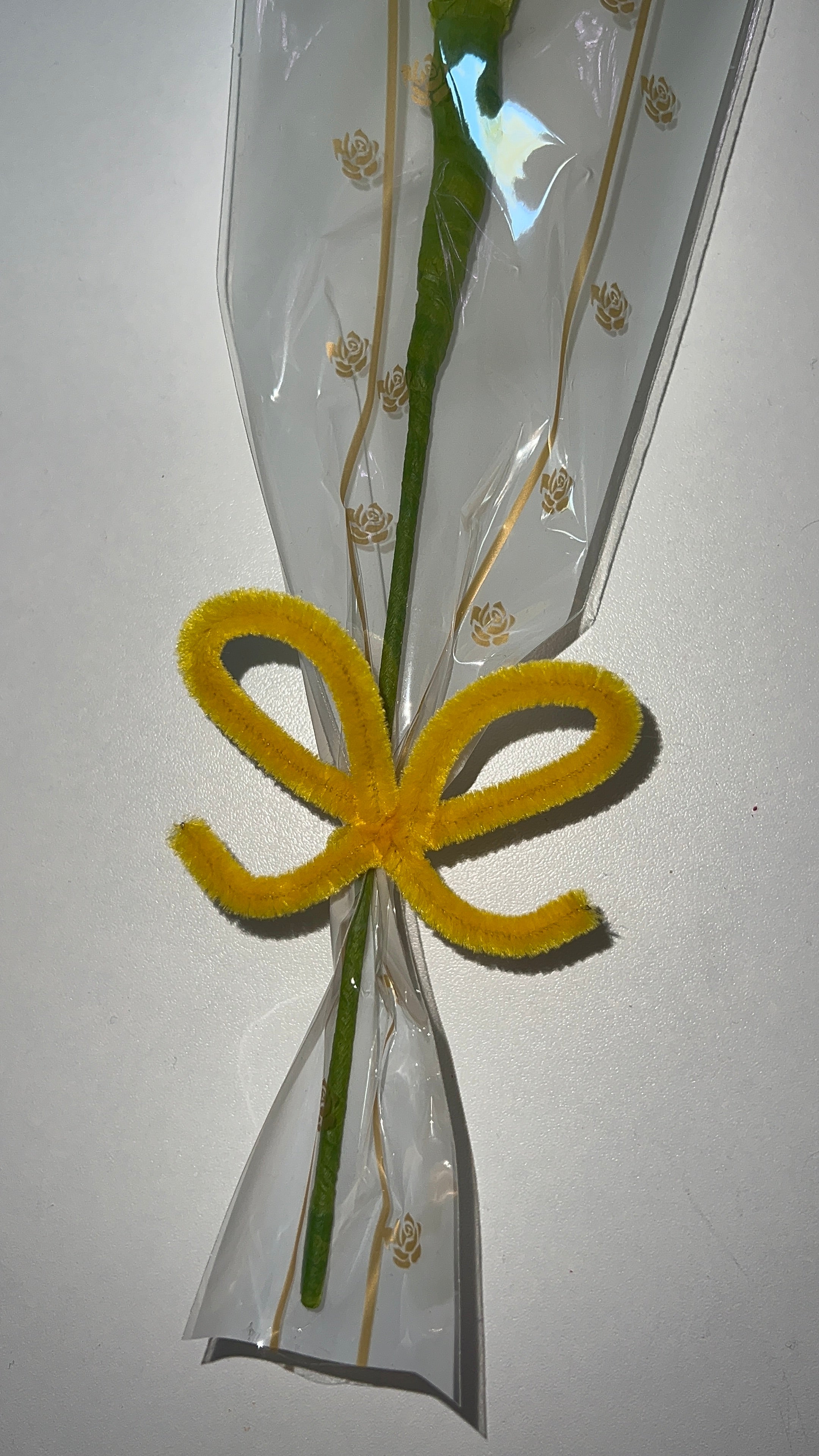 Tournesol Premium