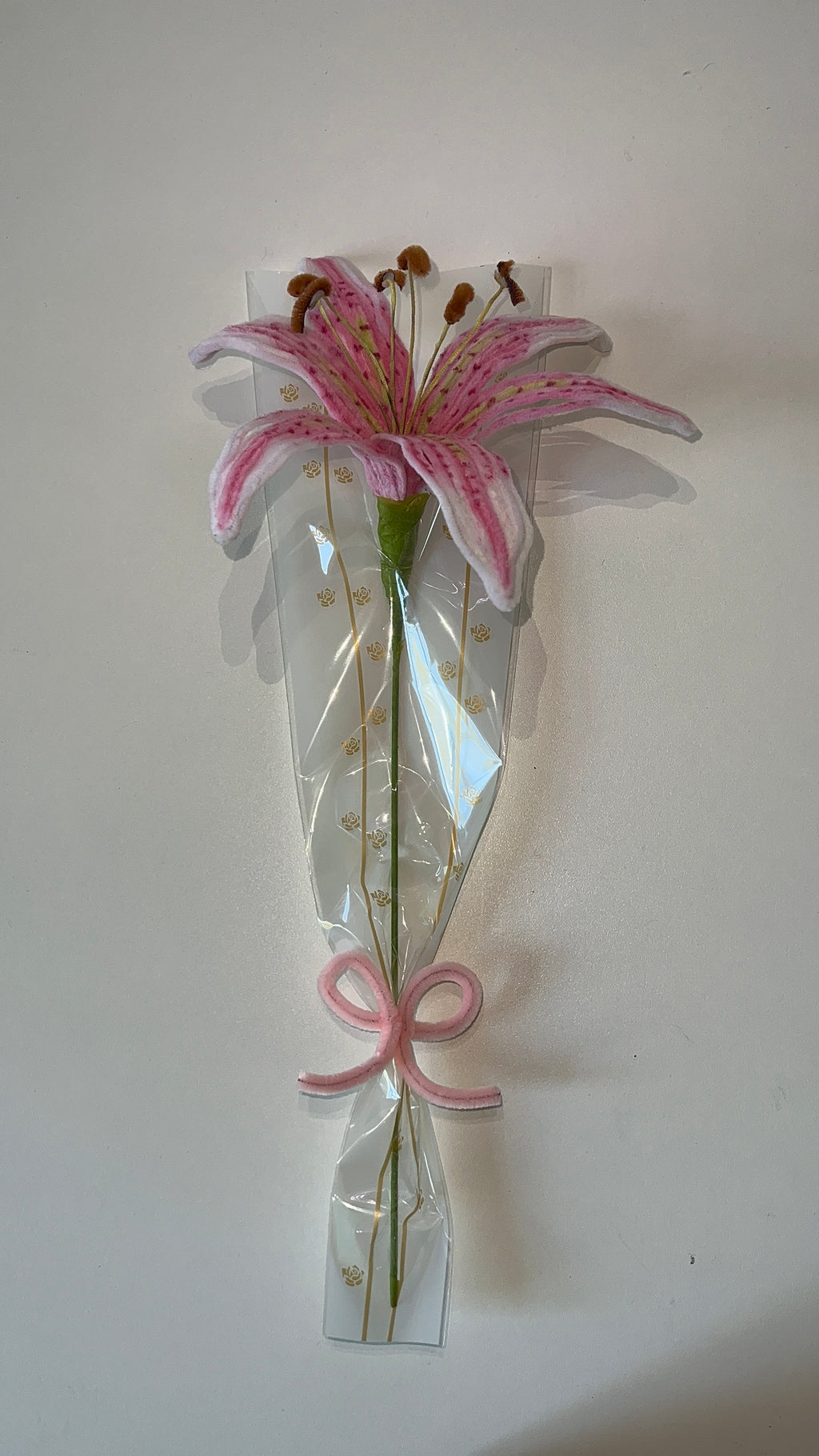 Lys Rose et Blanc