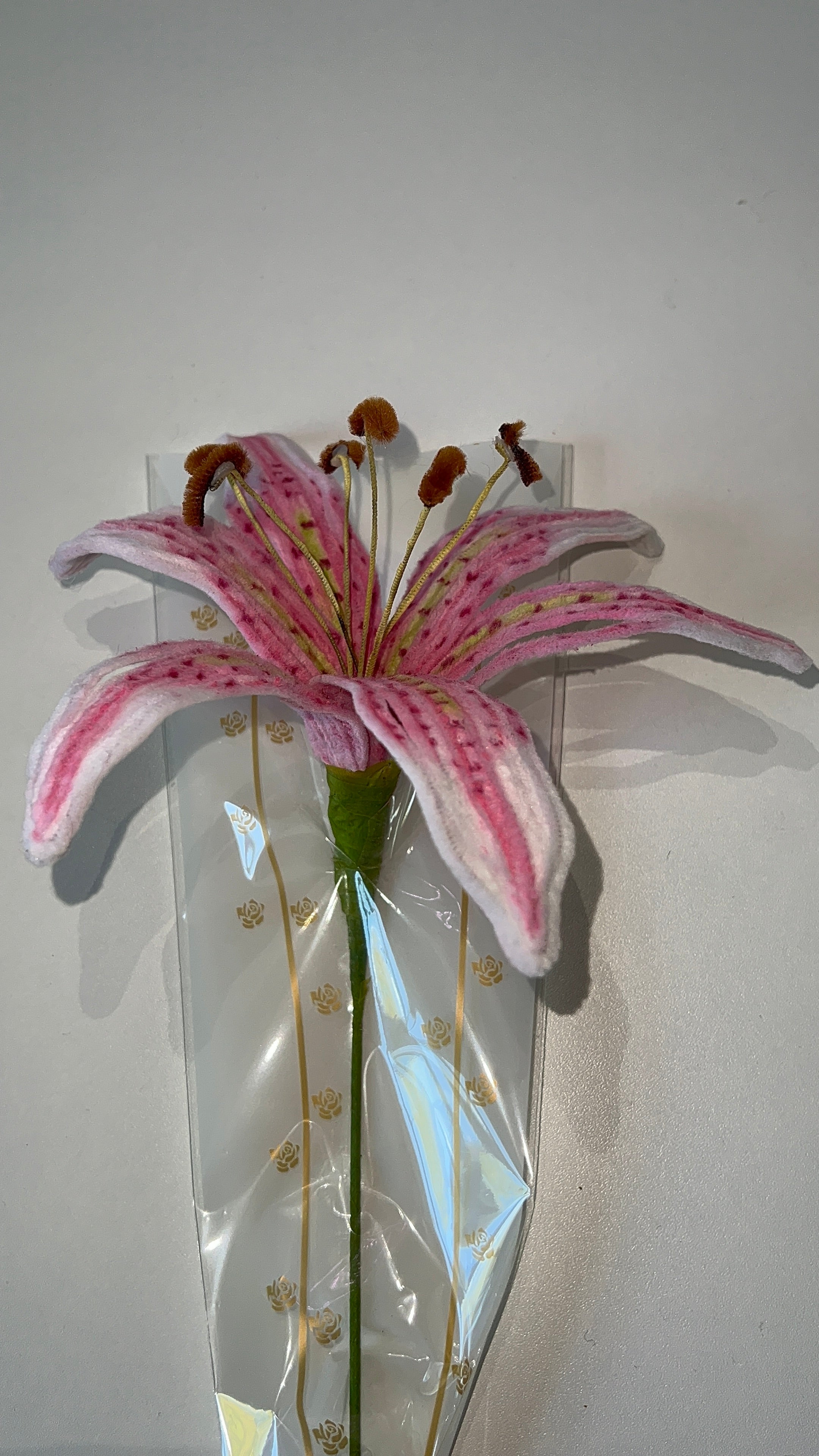 Lys Rose et Blanc
