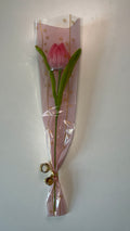 Tulipe rose
