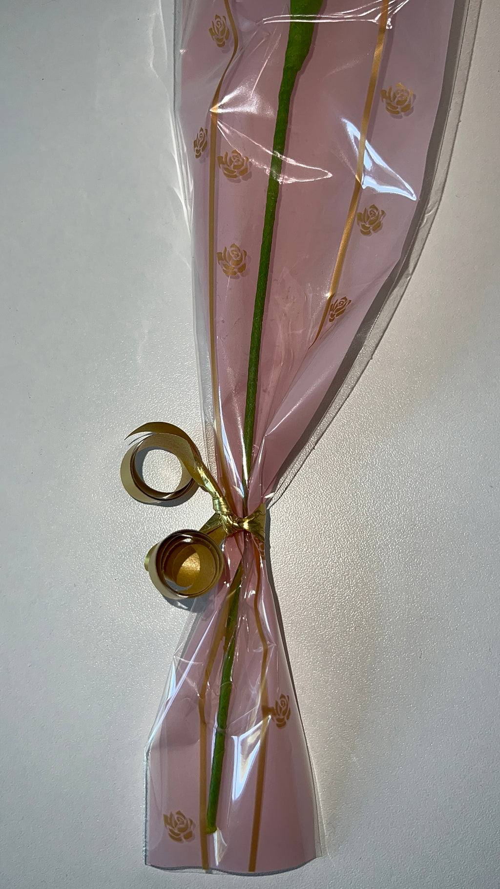 Tulipe rose